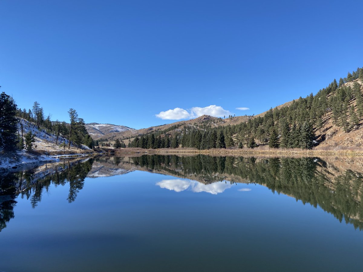 Beth0362's tweet photo. This is what crystal clear looks like. #pinevalleyranch https://t.co/nc5loEcuUB
