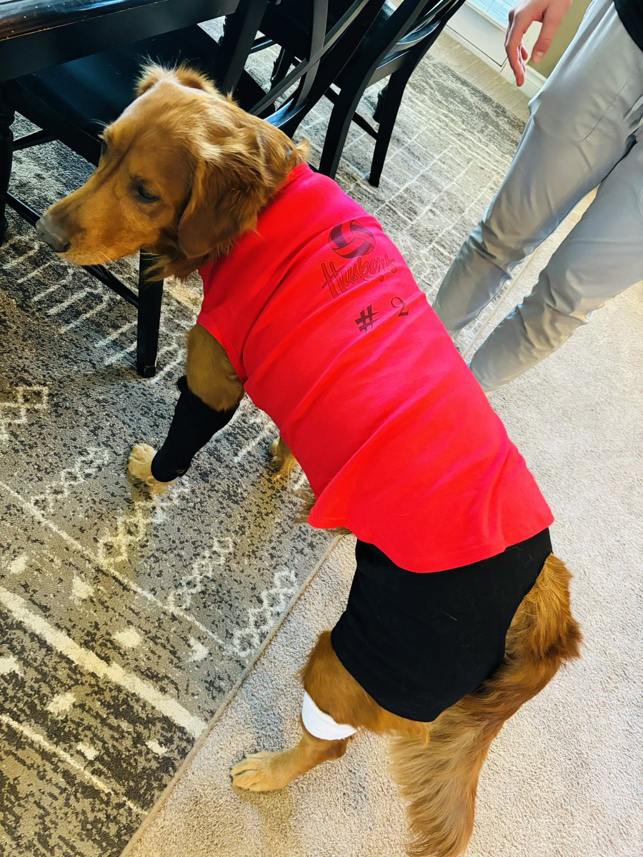 The only 4-legged @HuskerVB player I know!!!❤️🏐❤️ #blackshorts #GBR