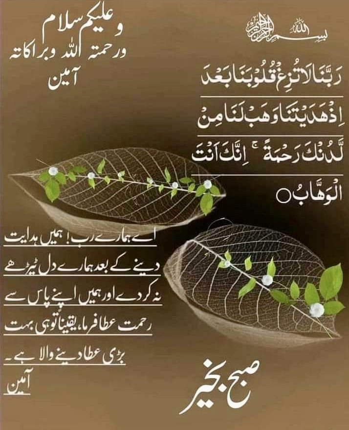 A8665683's tweet photo. اسلام و علیکم ورحمتہ اللّٰه وبرکاتہ ❤️❤️ صبح الخیر ❤️❤️❤️ https://t.co/hAgQ2tBprk