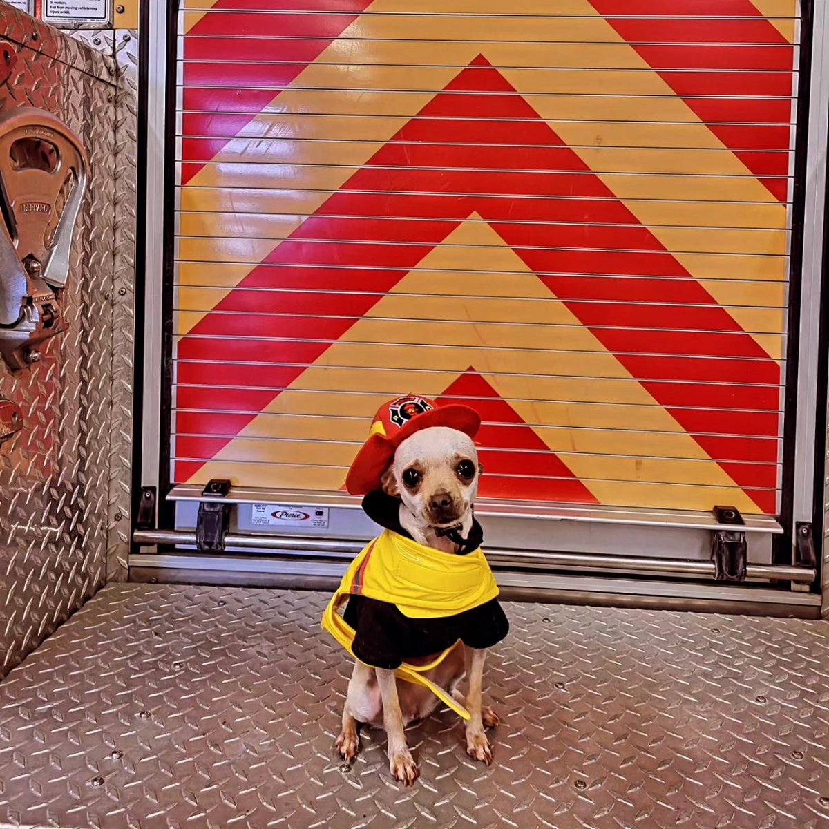 SouthLyonFD's tweet photo. Have a happy and safe Halloween, everyone! https://t.co/7E3AiLRNmf