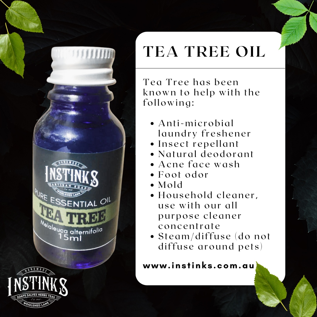 alpineapothecar's tweet image. Discover the Power of Tea Tree Oil! 

🍃 Banish Odors, Ward off Insects, Embrace Natural Freshness. 

Elevate Your Everyday, Order Now! 

#TeaTreeMagic #NaturalHealing #PureFreshness 

🌐instinks.com.au

#blend #candles #instinksau #health #ritual #gift #australianmade
