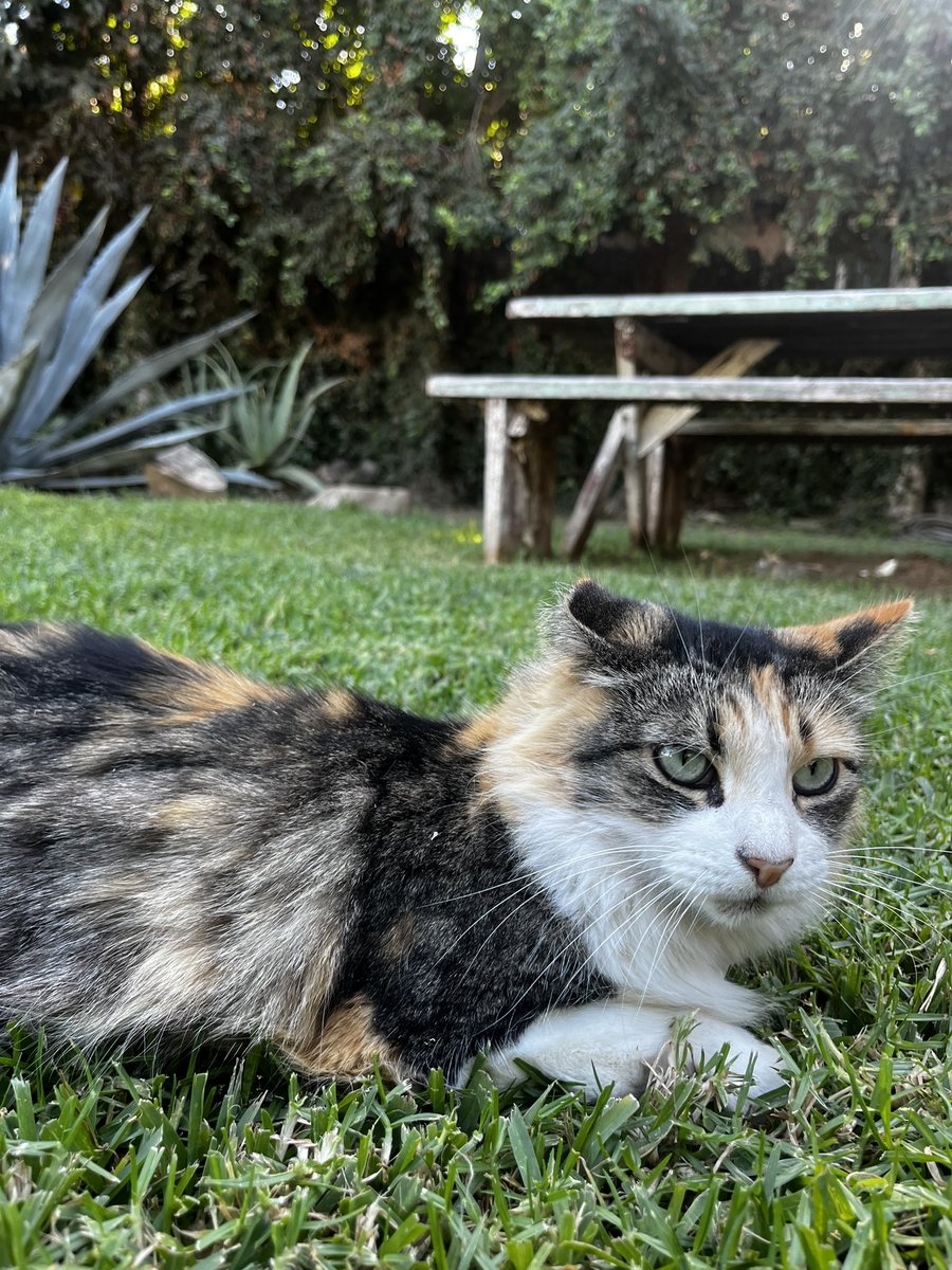 Jack (@gallego_jack) on Twitter photo 