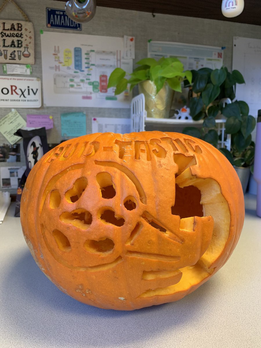 amanda_maliva's tweet photo. 2nd year participating in the UNL Beadle center pumpkin contest 🥳🎃🔬 https://t.co/bx88BNqv8b