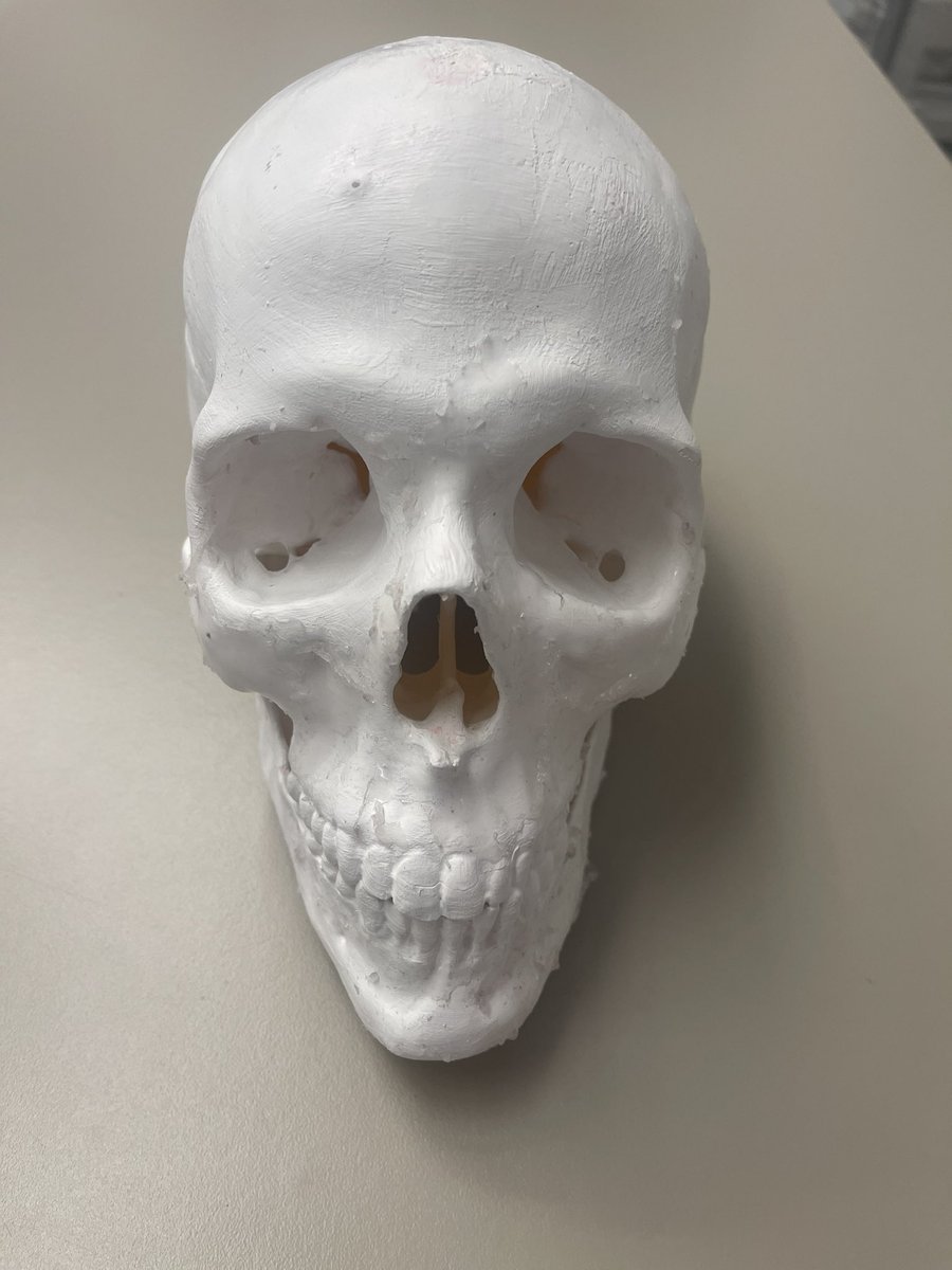 We are lucky to have various resources in the Simulation Center including 3D Printers.

Send us a message if you are interested in using this technology in your education program

Wishing everyone a fun and safe Halloween!

#Halloween2023 #simulation #HealthcareInnovation #csmc