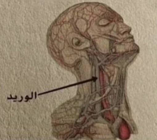 صورة tweet media