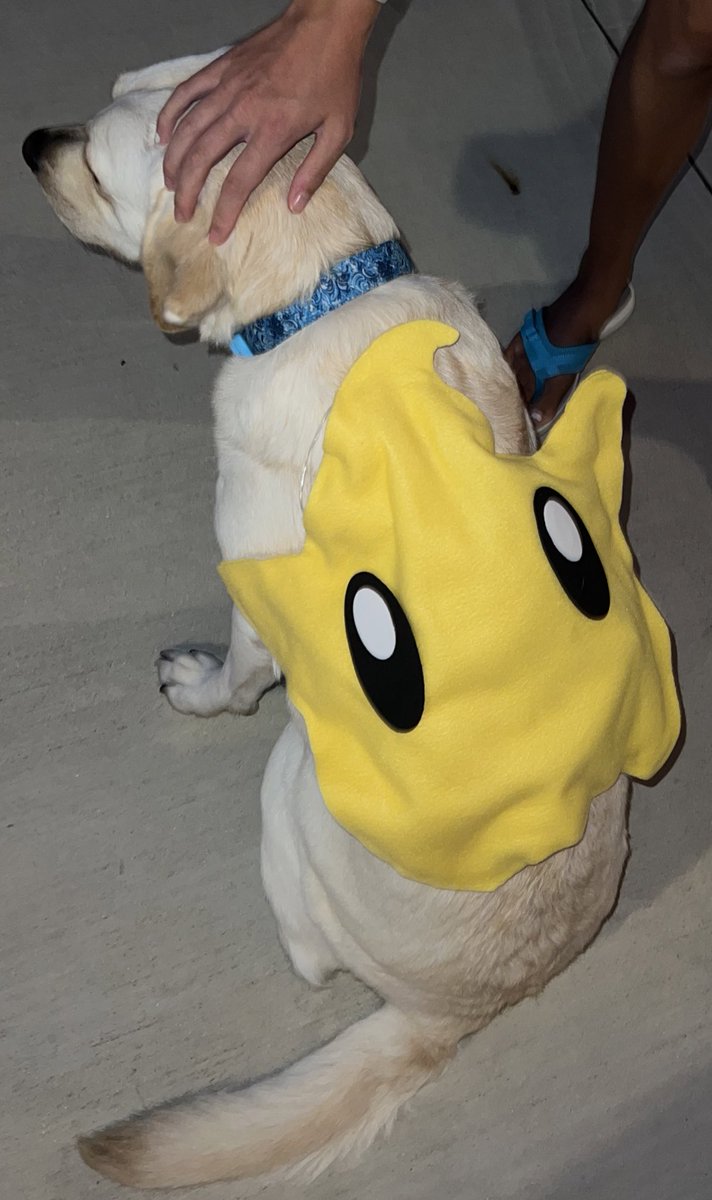 DailyNoriPics's tweet photo. I’m a luma for Halloween! 🌟🌠💫 https://t.co/NkJNV6Nh97