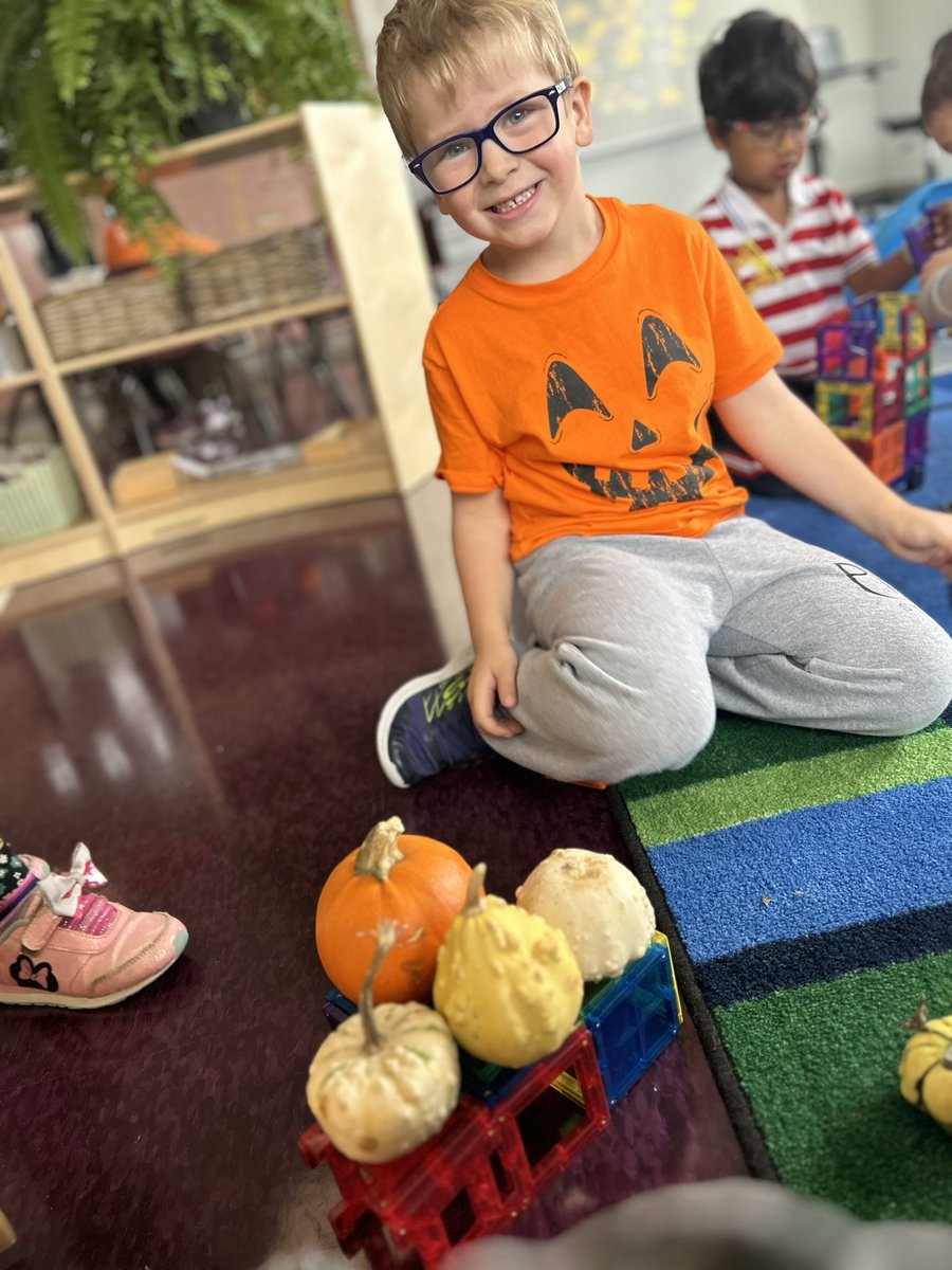 Some unplugged coding and a chance to build strong and stable structures that can hold up different pumpkins and gourds! #ocsbMath #ocsbFDK #ocsbKindergarten