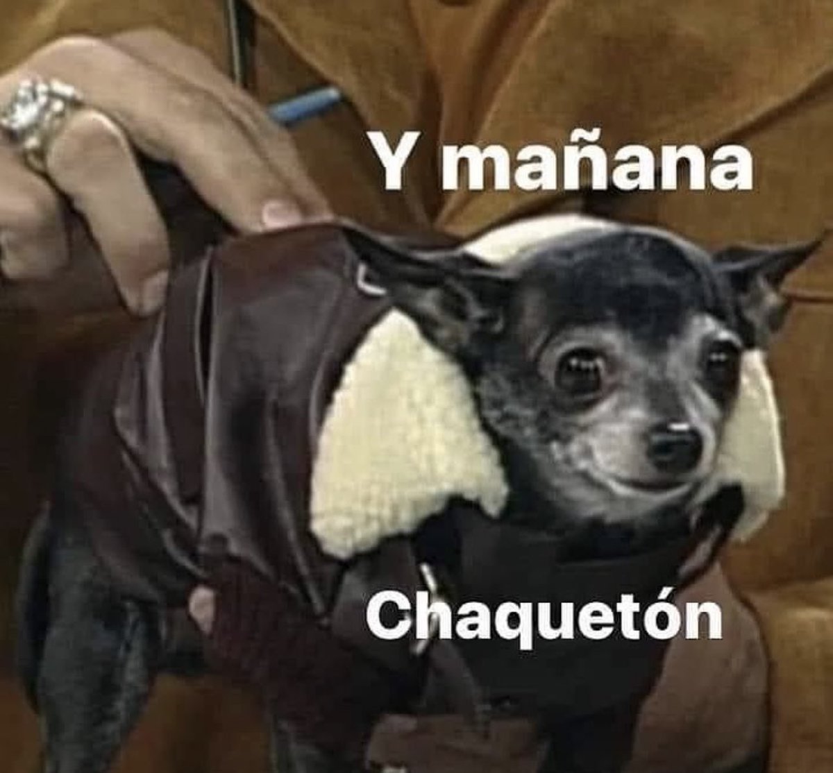 skereunpesado's tweet photo. https://t.co/lUHtQsYPEJ