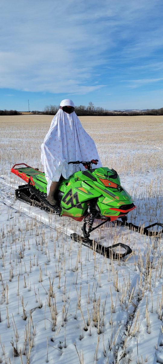 MountainStdTime's tweet photo. HAPPY HALLOWEEN! 👻 https://t.co/PHqDnwvSmJ