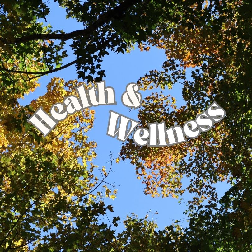 Why would <a href="/DogwoodWNC/">Dogwood Health Trust</a> categorize ‘Through the Trees,’ a computer device refurbisher; a ‘health &amp; wellness’ partner?

wncbroadband.org/blog/blog/2023…