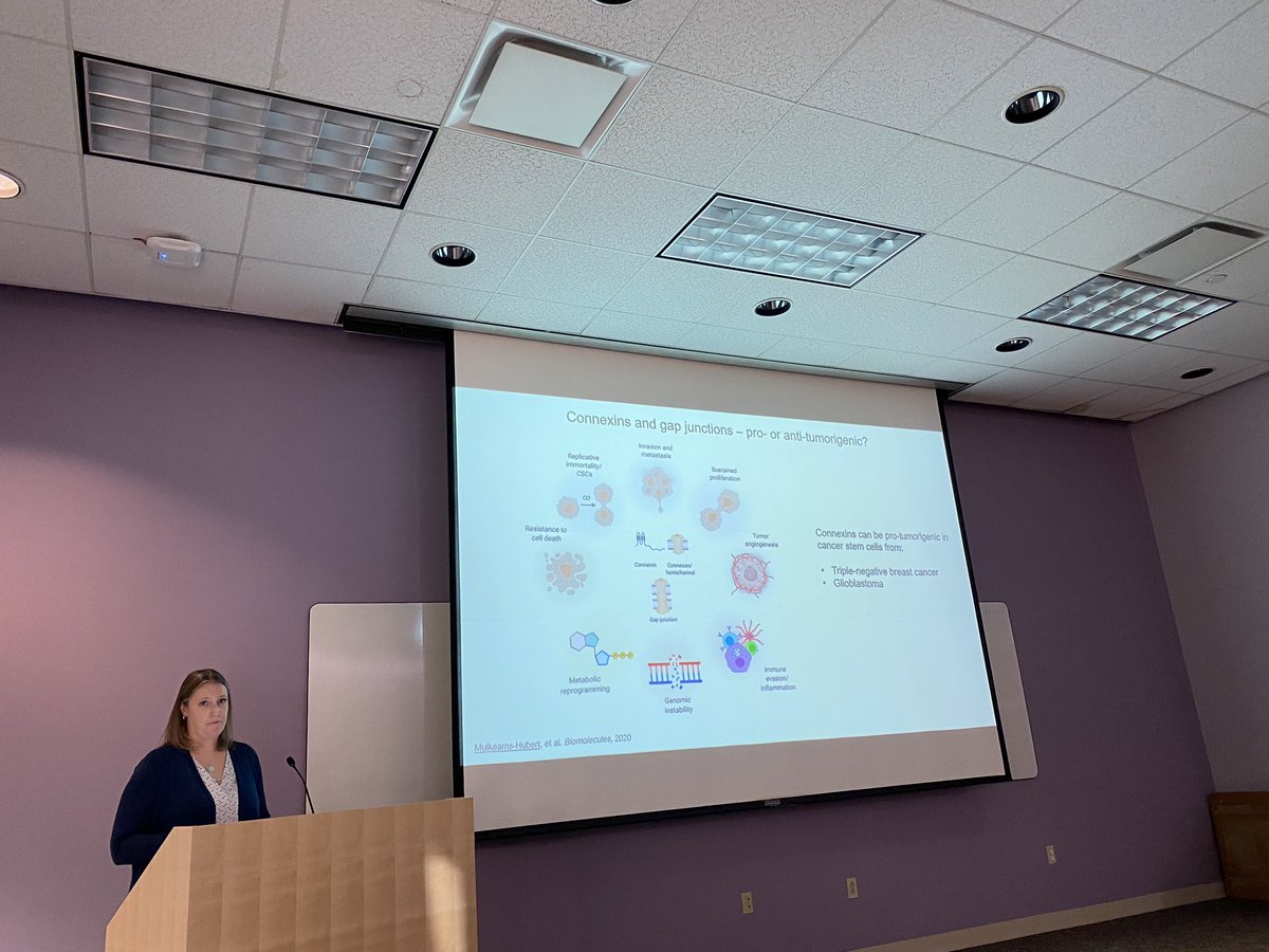 Justin Lathia, PhD 🧠🕺🏽 tweet media