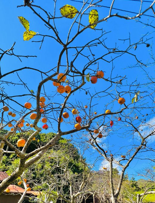 11月になっちゃった早いな 