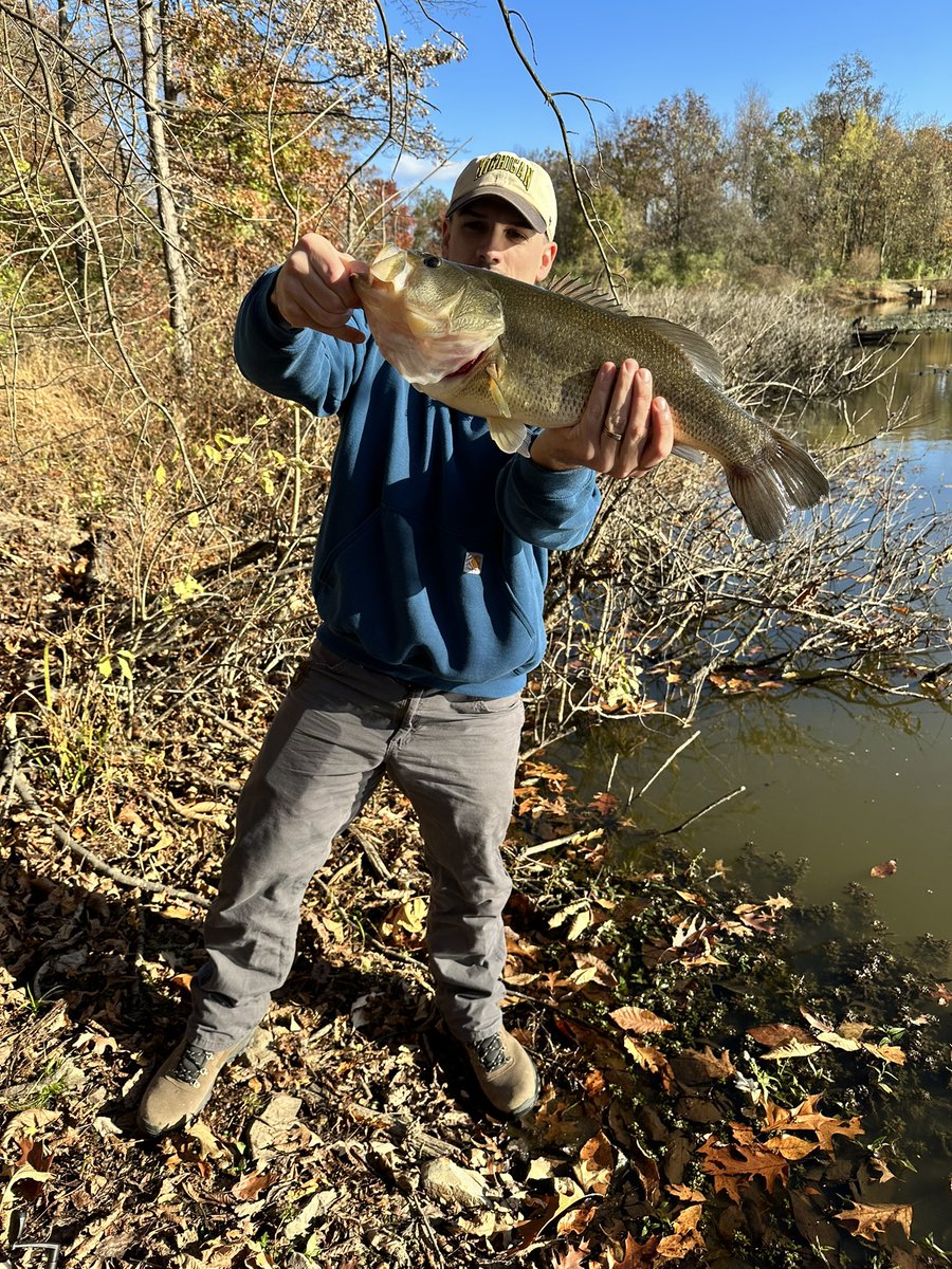 MMGoBlue's tweet image. Caught a beautiful bass today