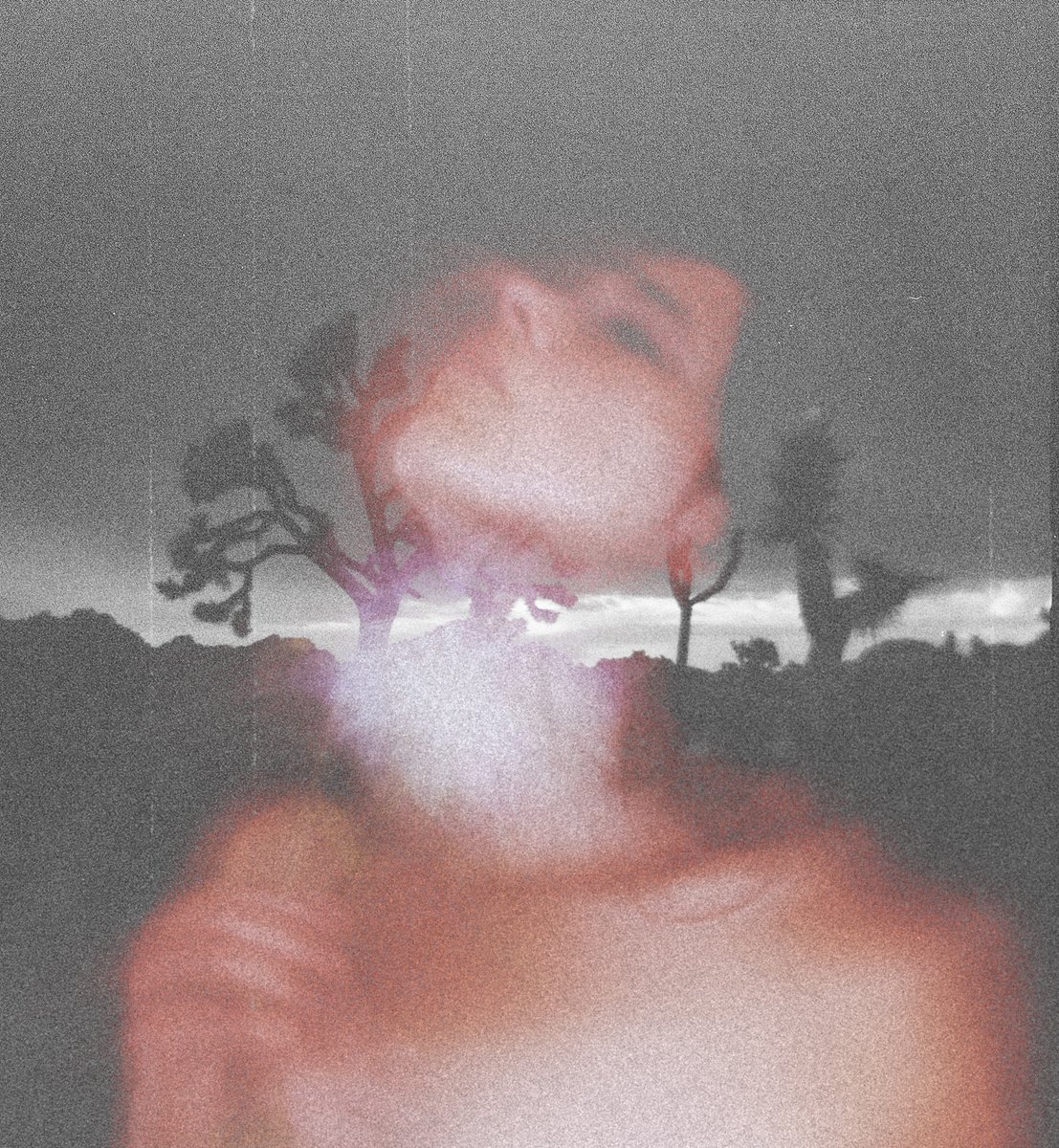 Julia Corbett tweet media