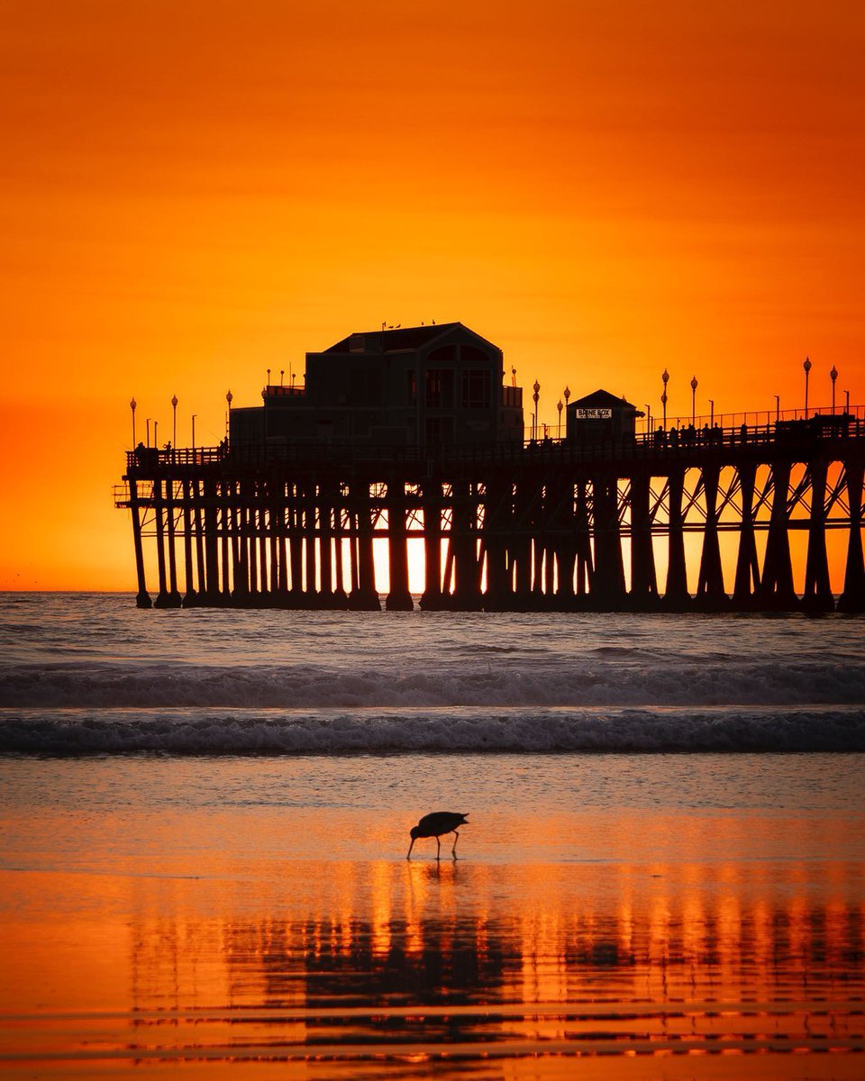 Visit Oceanside (@visitoceanside) on Twitter photo Creeping into the night, as the Halloween sunset sets the stage for spooky delights.๐
๐
-
Photo by <a href="/hinewman/">Greg Newman</a> Creeping into the night, as the Halloween sunset sets the stage for spooky delights.๐
๐
-
Photo by <a href="/hinewman/">Greg Newman</a>