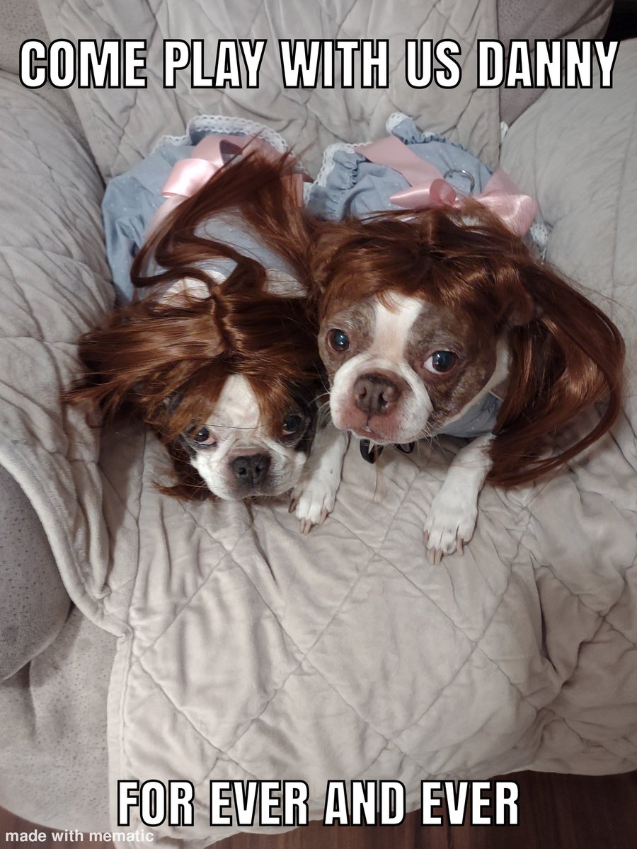 JaniceL35930887's tweet photo. Happy Halloween with Grace and Sugar. #dogsoftweeter https://t.co/20bbOVByOD