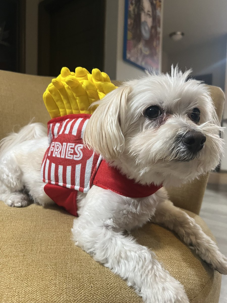 Do you want to add fries?