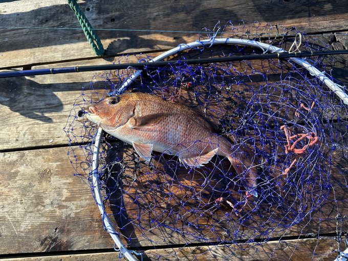 ( ゜∀゜)ウヒョー!!サカナァ(「🐟・ω・)「🐟
すごい釣れるぅ 