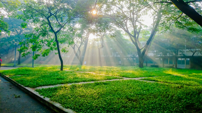 Matthews Tonya (@matthewstonya2) on Twitter photo 