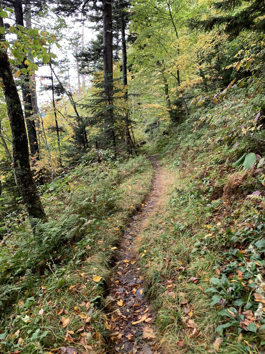 Jeffrey Dean tweet media