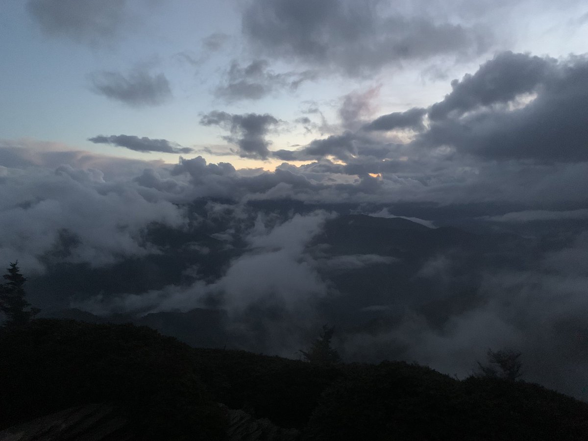 Jeffrey Dean tweet media