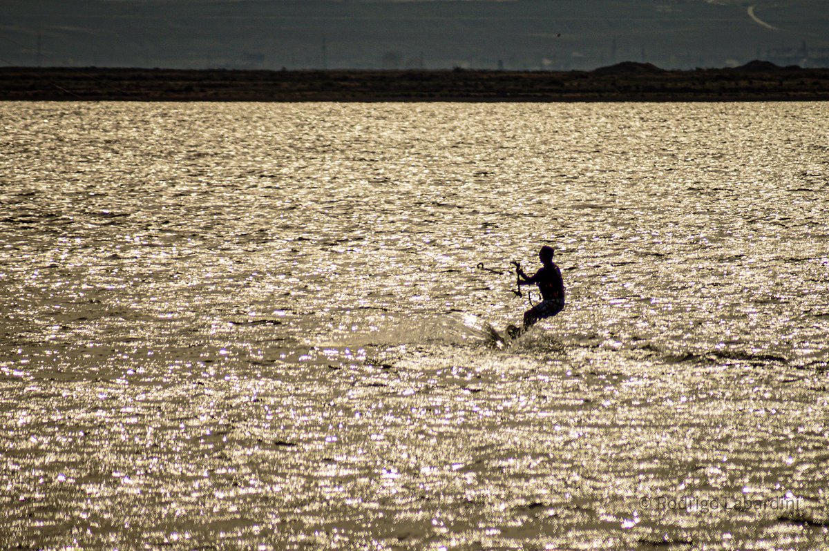 Rodrigo Labardini tweet media