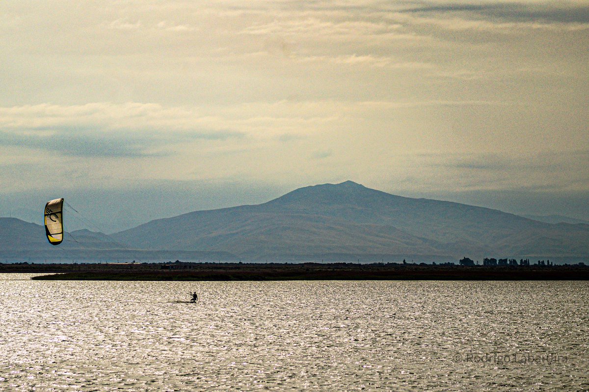 Rodrigo Labardini tweet media