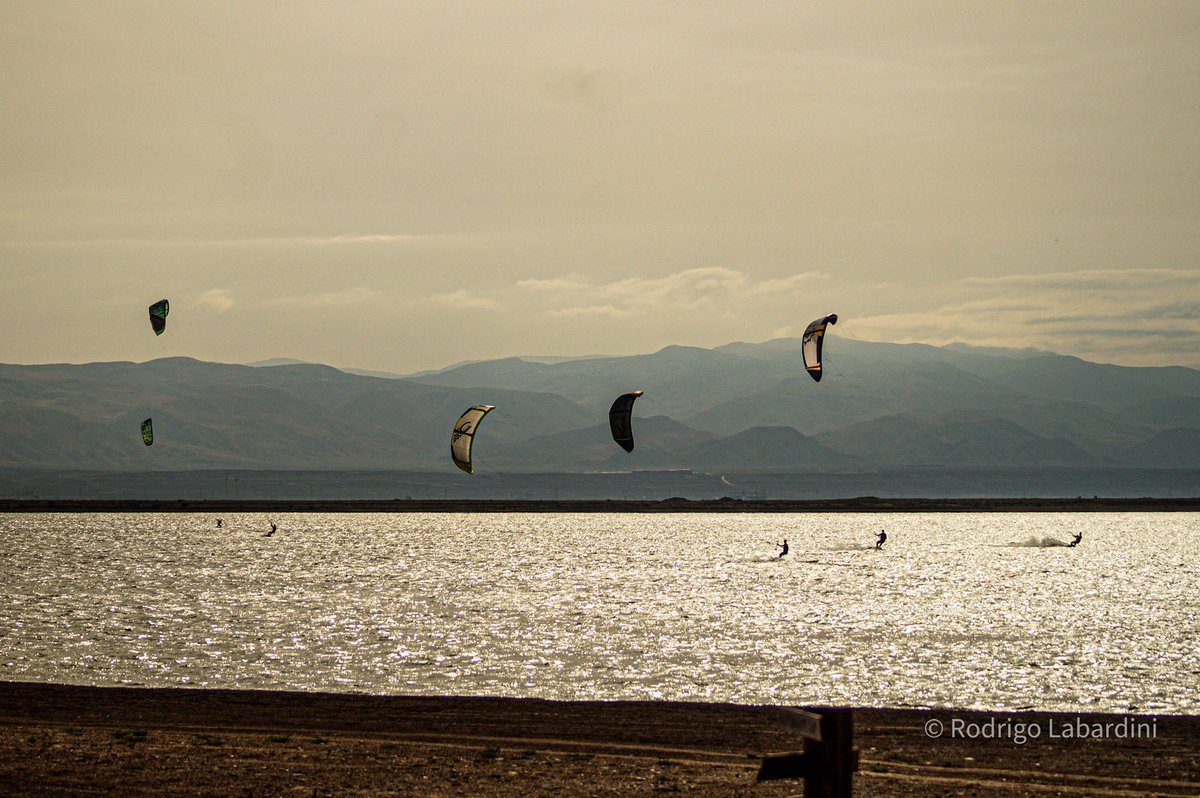 Rodrigo Labardini tweet media