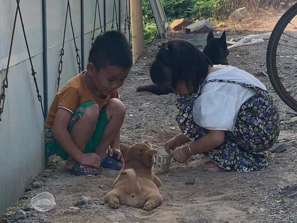 เล่นอะไรกันนะ น่าสนุกเชียว