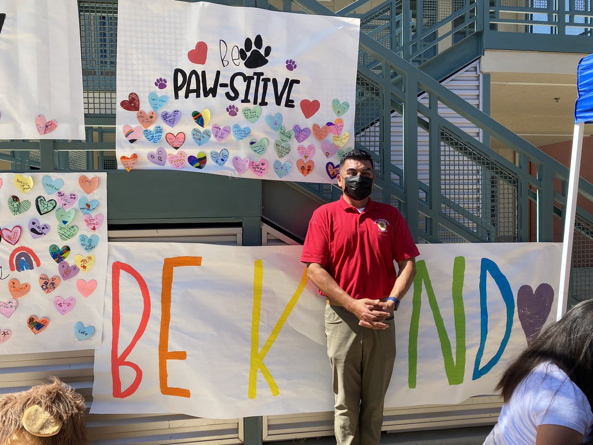 Our Kindness Campaign last week!🥰 Our students & staff shared kindness messages to each other. We are excited for a Paw-sitive school year! @SAUSDCCR @DrRebeccaPianta
