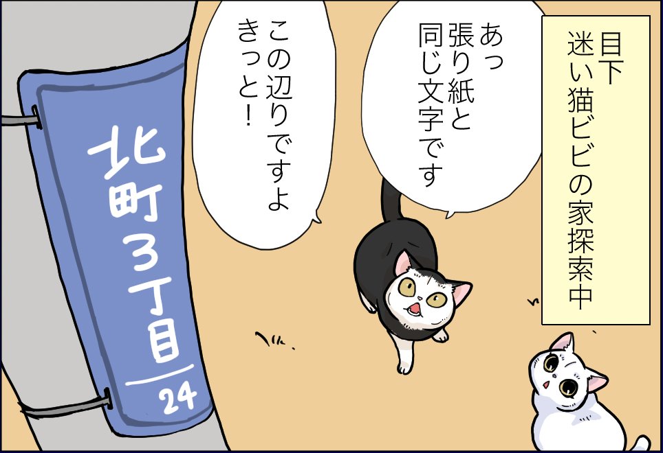 おふぐりさま最新話更新されました!
とうとう迷い猫ビビがおうちに帰れる?

https://t.co/sFLApjoBnv 