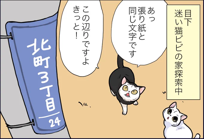 おふぐりさま最新話更新されました!
とうとう迷い猫ビビがおうちに帰れる?

https://t.co/sFLApjoBnv 
