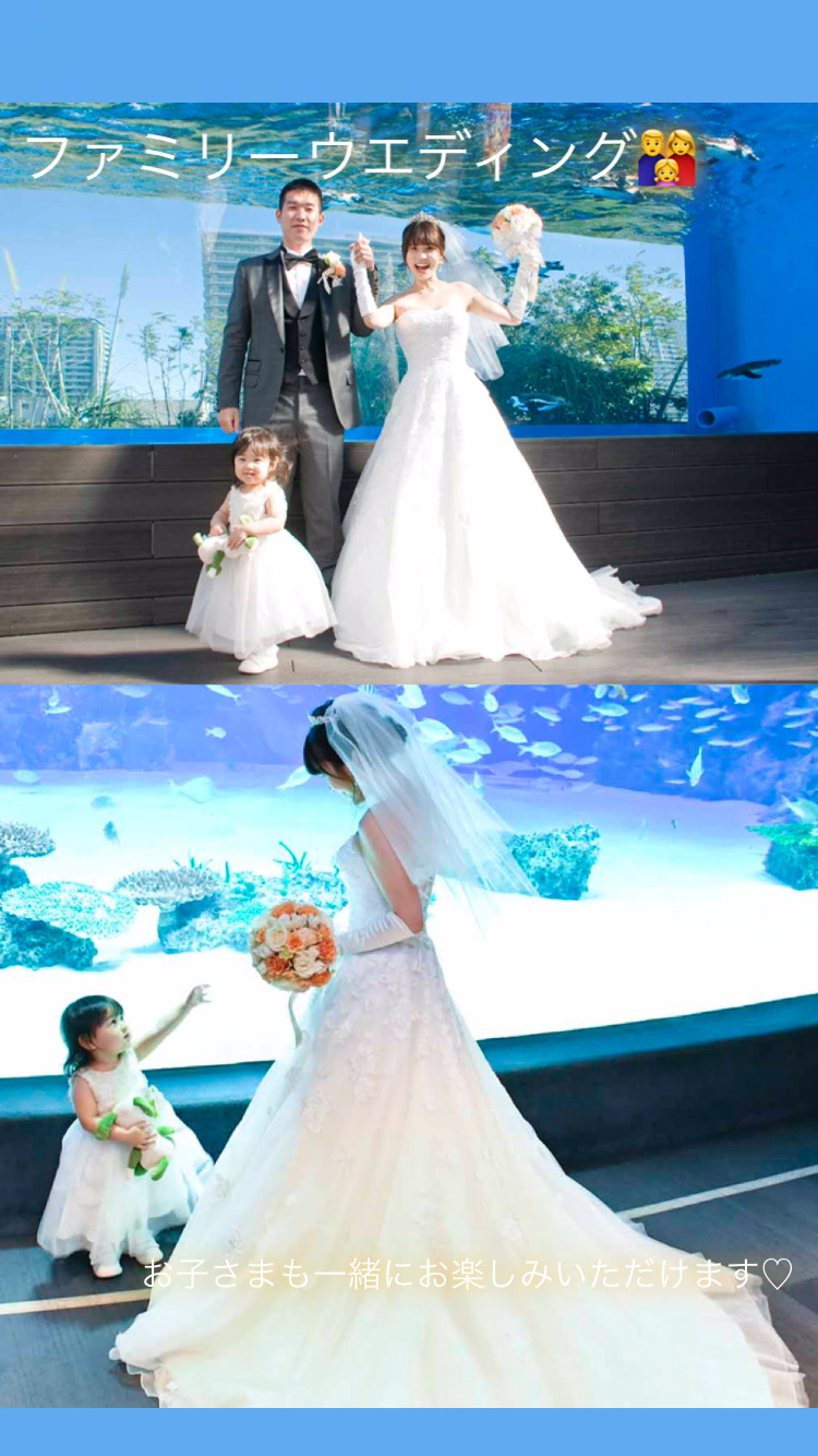 水族館結婚式 Twitter Search Twitter