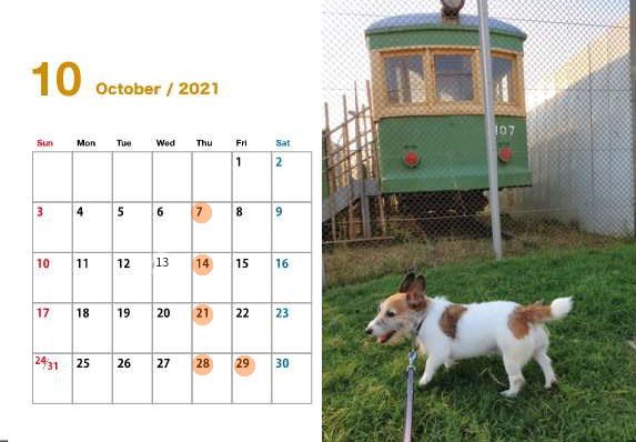 以志橋 Soba Ishibashi Twitter