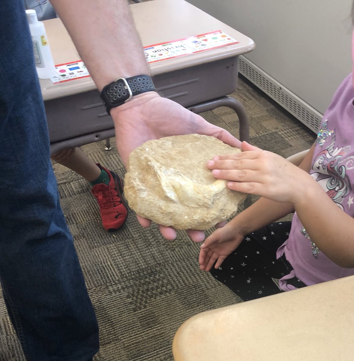MissReeder123's tweet photo. A HUGE thank you to @nober_techclass Kindergarten was absolutely mystified by your fossil collection! In their words, “best day ever!” The children got to interact with the teeth from a Megalodon, Mammoth, Spinosaurus, and Enchodus Petrosus! We had a great time learning 🦖🦴 https://t.co/SyEYhHsn1i