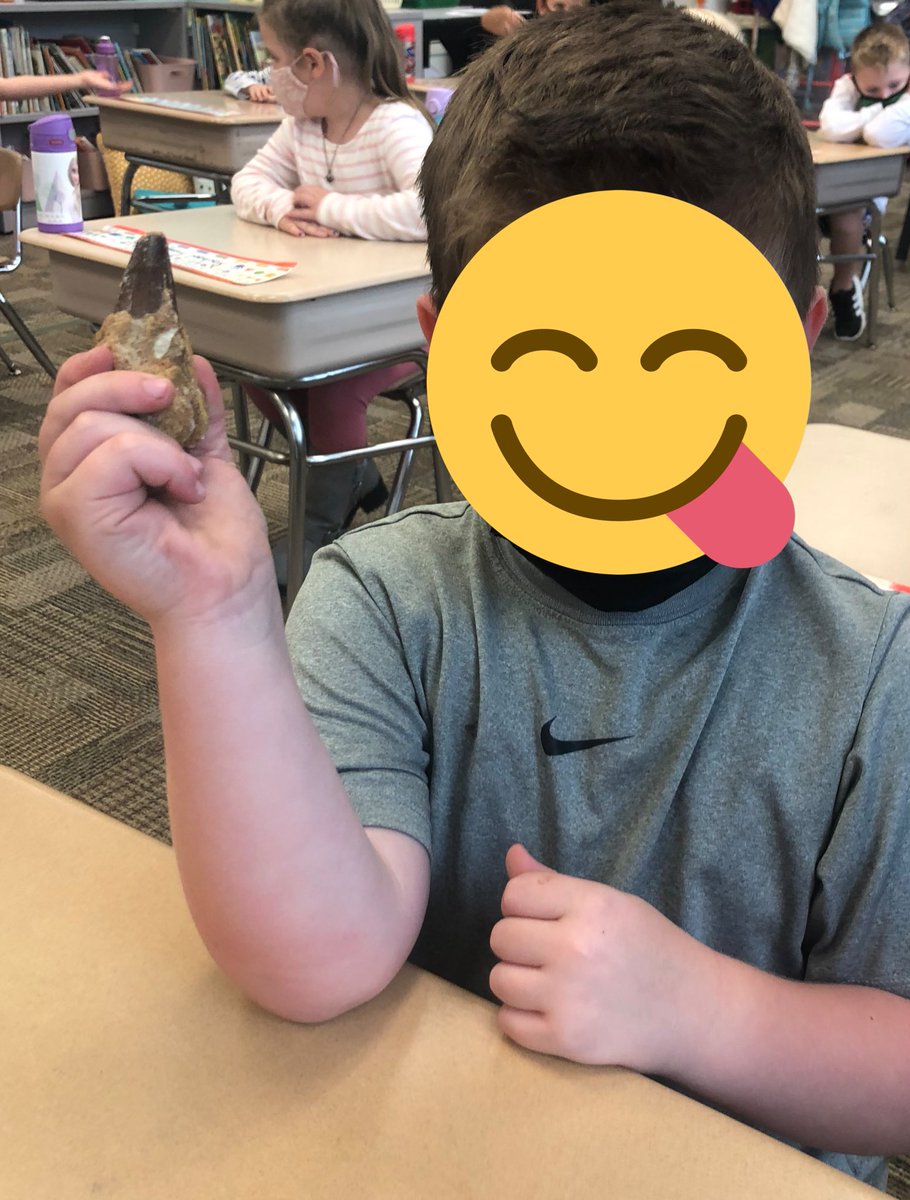 MissReeder123's tweet photo. A HUGE thank you to @nober_techclass Kindergarten was absolutely mystified by your fossil collection! In their words, “best day ever!” The children got to interact with the teeth from a Megalodon, Mammoth, Spinosaurus, and Enchodus Petrosus! We had a great time learning 🦖🦴 https://t.co/SyEYhHsn1i