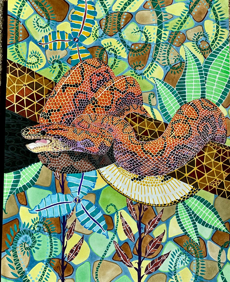 "Jeez, I can't find my knees" #sciart #Sciartober #sciartink #herpetology #rainbowboa