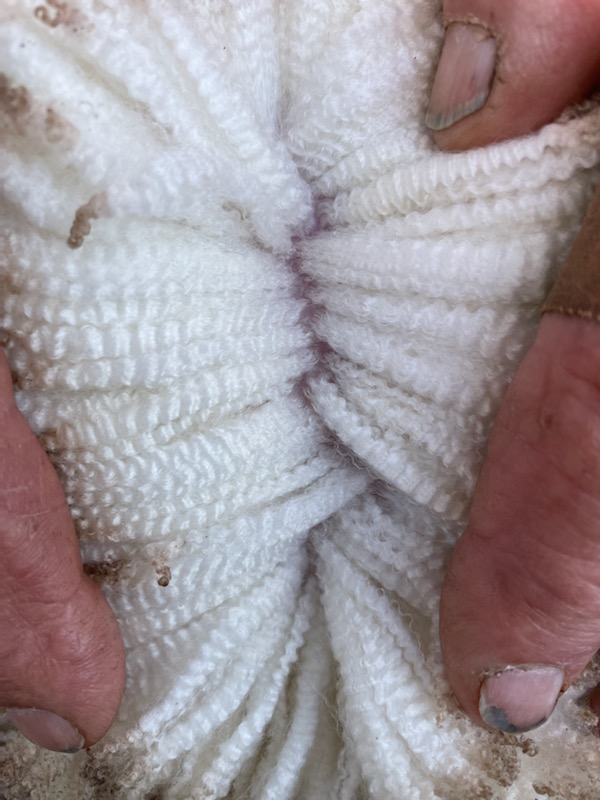 TimShep05's tweet image. These hands know quality wool. #MonteVerdeMerinos