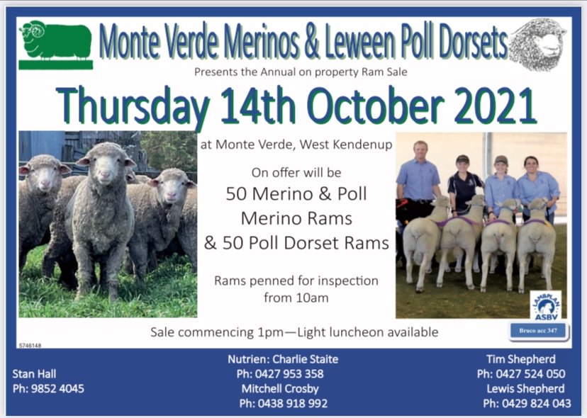 TimShep05's tweet image. These hands know quality wool. #MonteVerdeMerinos