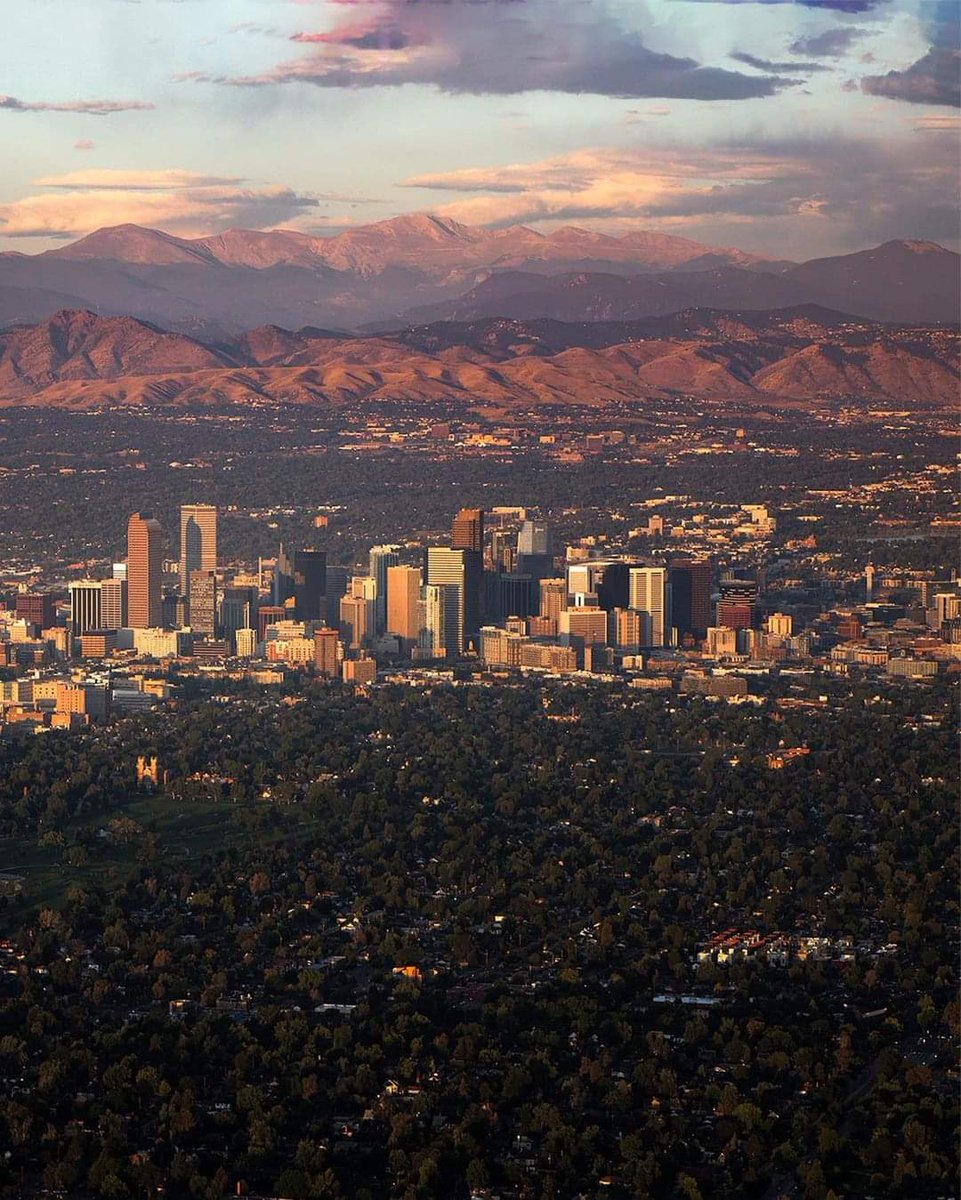 🇷🇺 NoHoes Hank 👨🏽🦲 tweet media