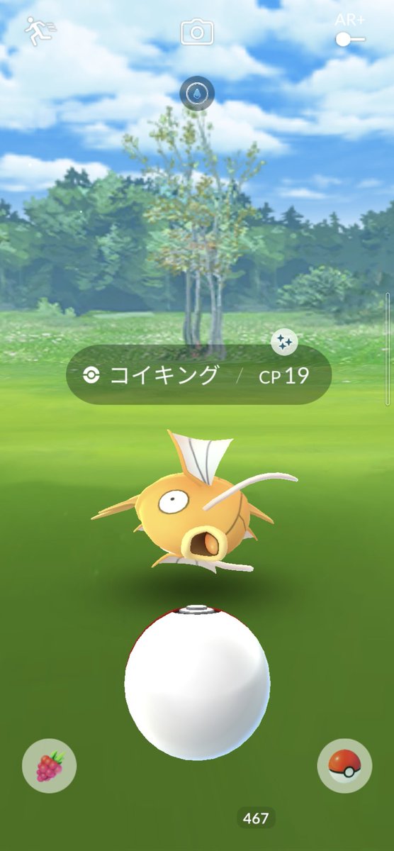 ポケモンgo コマタナの色違い 入手方法と実装状況 攻略大百科 ポケモンgo コマタナの色違い 入手方法と実装状況 攻略大百科