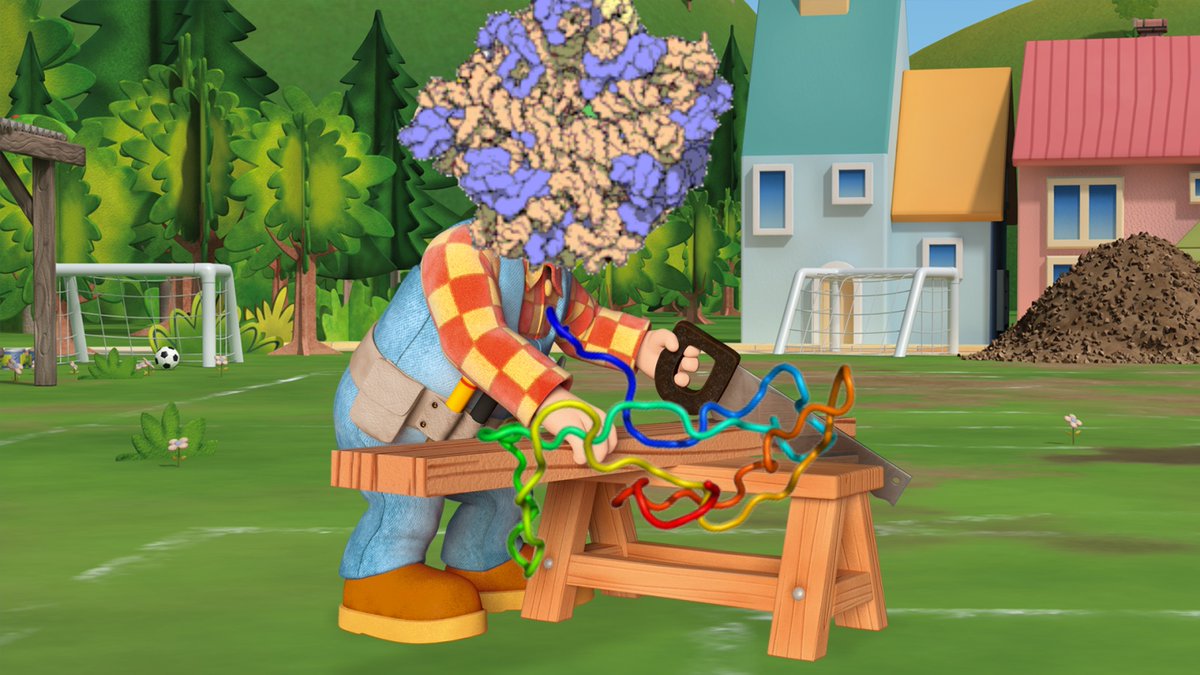 ribosarebetter's tweet photo. FUN FACT: Bob the Builder is actually a ribosome. He enjoys using the info in mRNA to assemble polypeptides. He works hard unlike these other organelles... #organellewars #voteforribosomes https://t.co/lu12eMcx6p