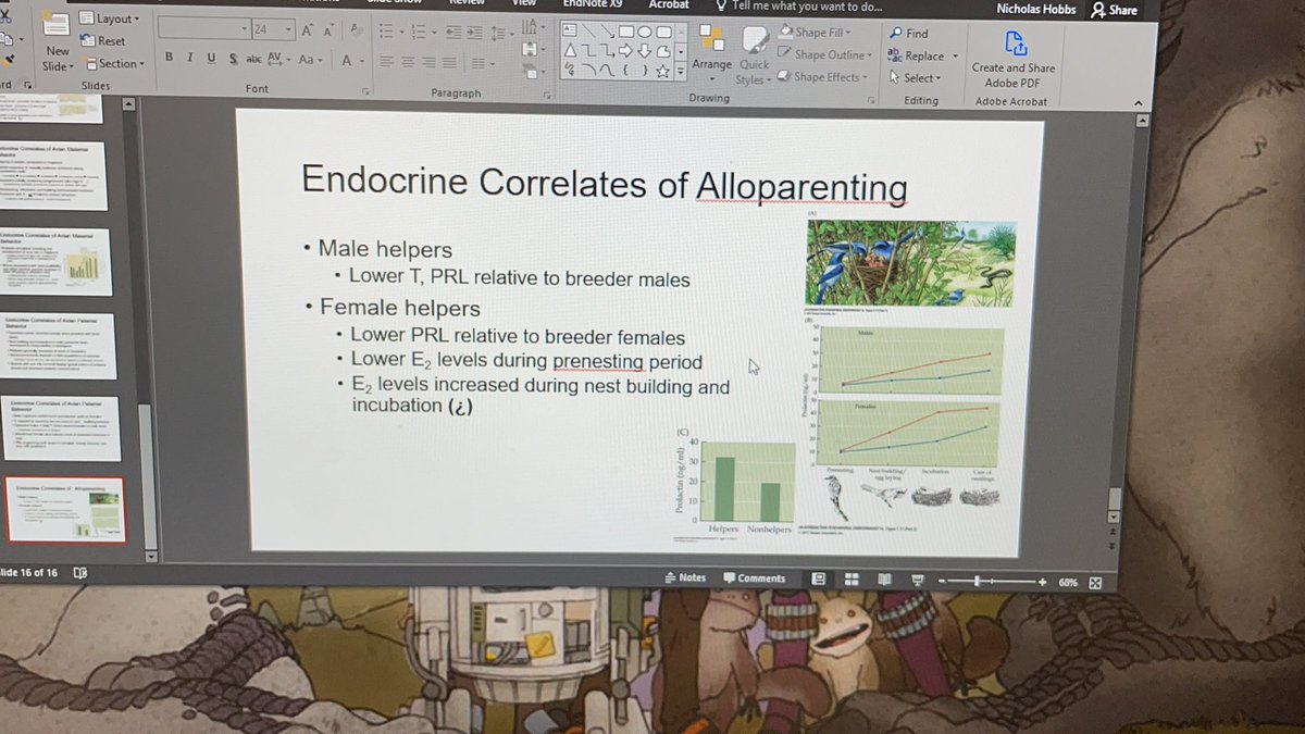 Love being able to discuss friends’ research in class! #behavioralendocrinology #scrubjays