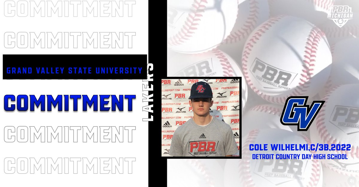 Prep Baseball Michigan tweet media