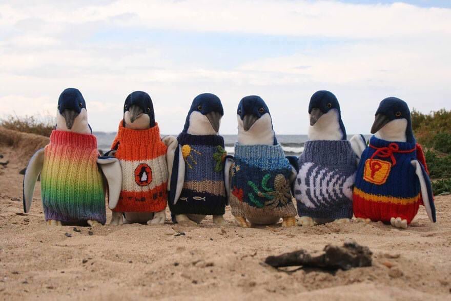 Injured Penguins in sweaters, knitted by a 109-year-old Australian man.