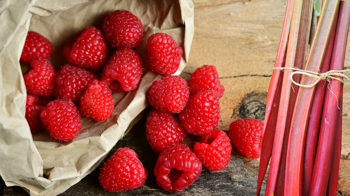 Infusions are back! This week we have a raspberry rhubarb My Oh My Maibock for you. Sweet, tangy, and tasty!