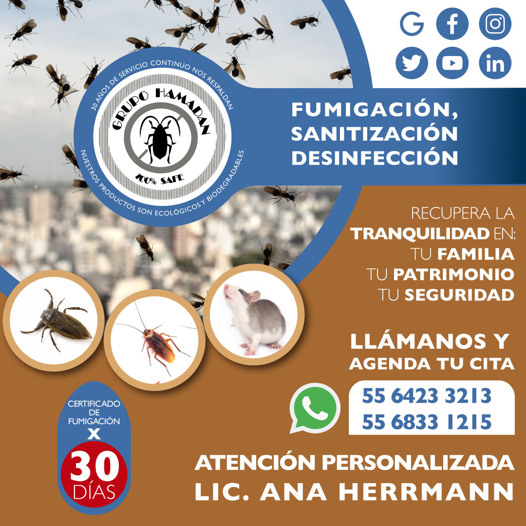 HamadanCv's tweet image. “En Grupo Hamadan, 30 años de servicio continuo nos respaldan.” 
Disponemos de Licencia Federal Vigente y nuestros servicios los realizamos con tecnología de 1er mundo en Productos y Equipos. 

#ControlDePlagas #fumigadora #sanitizacion #desinfeccion #fumigacion
