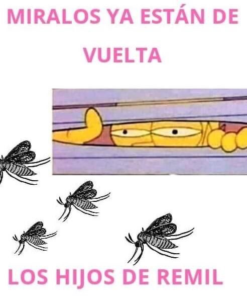 piola tweet media
