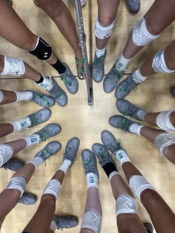 MSUEagles's tweet photo. .@MSU_SAAC joined with others around the OVC and our own Eagle teams to recognize Mental Health Week. 

#OVCIt | #SoarHigher https://t.co/pCqcWjSDb5