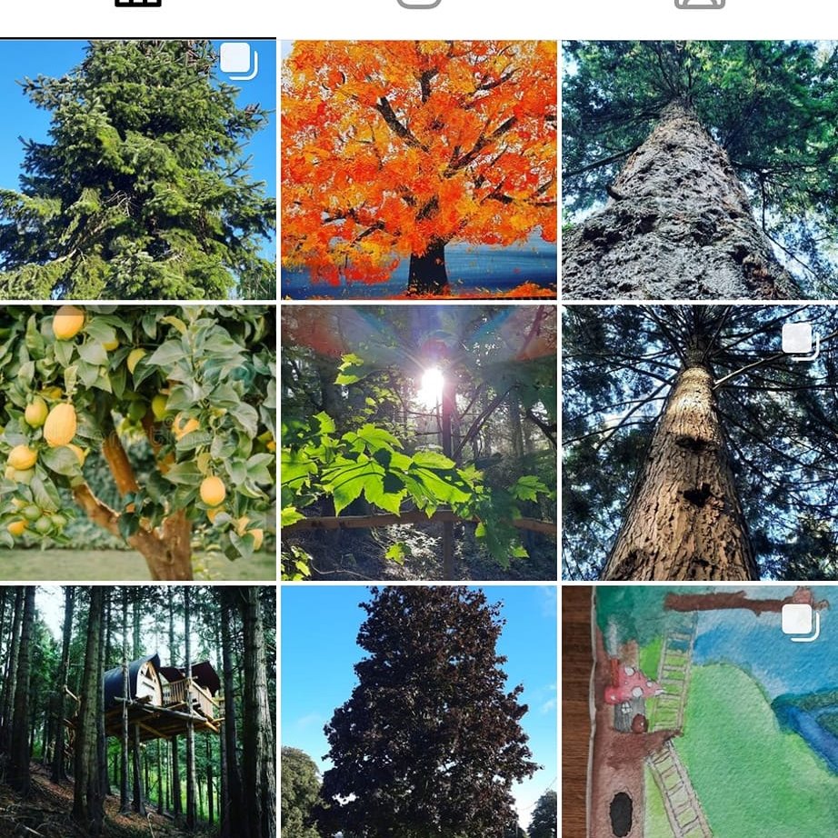 Treeglee's tweet photo. Day 100/100 #100DaysofTrees #overandout
I did it. 100 whole entire days of trees via @treeglee on Instagram. I'm so glad this 100th day was on my first day venturing outside after being stuck indoors with a cold https://t.co/KeulRMLBze More posts about #trees to follow ...๐ณ๐ฒ https://t.co/VUHimDPDpV